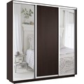 Шкаф-купе Экспресс (Зеркало-2, ЛДСП) 240/240/45 Ш1856
