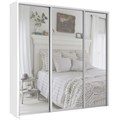 Шкаф-купе Экспресс (Зеркало) 180/220/45 Ш1951