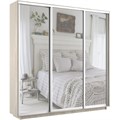 Шкаф-купе Экспресс (Зеркало) 180/220/45 Ш1951