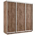 Шкаф-купе Лофт (ЛДСП) 210/220/60 Ш2053