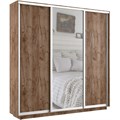 Шкаф-купе Лофт (Зеркало, ЛДСП) 180/220/45 Ш2451