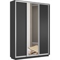 Шкаф-купе Лофт (Зеркало, ЛДСП) 180/240/45 Ш2452