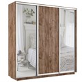 Шкаф-купе Лофт (Зеркало-2, ЛДСП) 210/240/60 Ш2254
