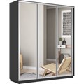 Шкаф-купе Лофт (Зеркало) 210/220/60 Ш2553