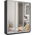 Шкаф-купе Лофт (Зеркало) 210/240/45 Ш2754