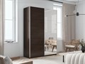 Шкаф-купе Прайм (Зеркало/ЛДСП) 120/230/57 П1004