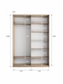 Шкаф-купе Прайм (Зеркало/ЛДСП) 120/230/57 П1004