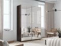 Шкаф-купе Прайм (Зеркало / Зеркало) 120/230/57 П1007