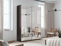 Шкаф-купе Прайм (Зеркало / Зеркало) 160/230/57 П1009