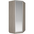 Угловой шкаф Экспресс (Зеркало) 90/90/240 У1002 Угловой шкаф Экспресс (Зеркало) 90/90/240 У1002